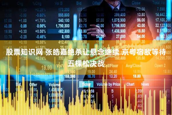 股票知识网 张皓嘉绝杀让悬念继续 京粤宿敌等待五棵松决战