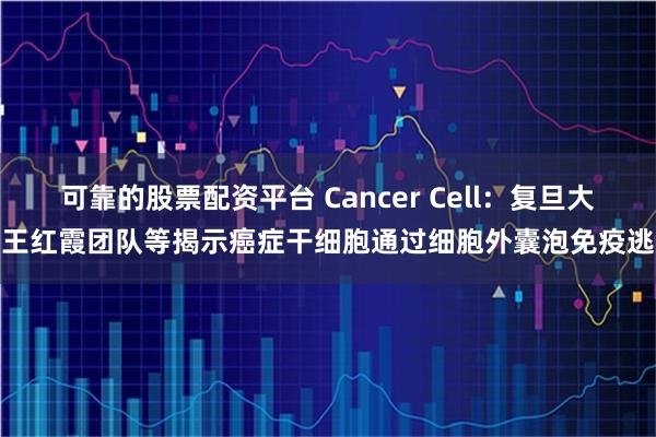 可靠的股票配资平台 Cancer Cell：复旦大学王红霞团队等揭示癌症干细胞通过细胞外囊泡免疫逃逸